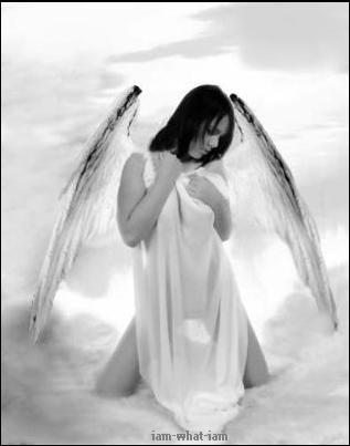 Anges