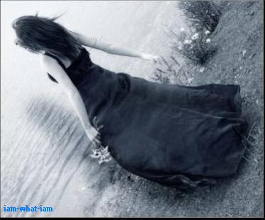 Noyer...